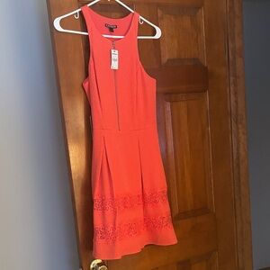 Express Vibrant Coral Mini Dress